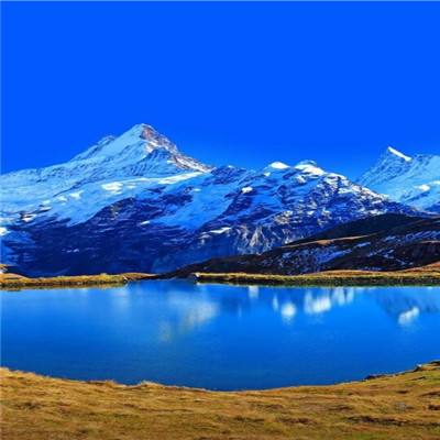“张雪峰心脏骤停被送医抢救”传闻持续发酵，多平台直播间相继中断，多方回应